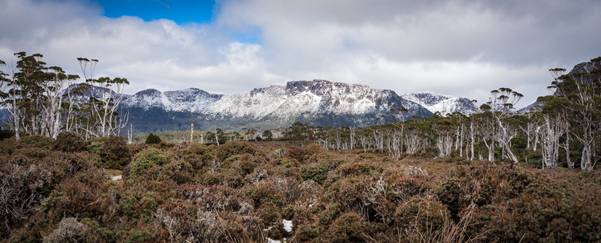 A snowy mountain range in the distance

Description automatically generated